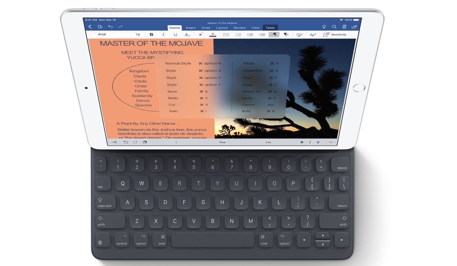 Apple Launches New iPad Air and iPad Mini | appsntips