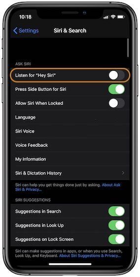 Use Speak and Type to Siri without Changing Settings