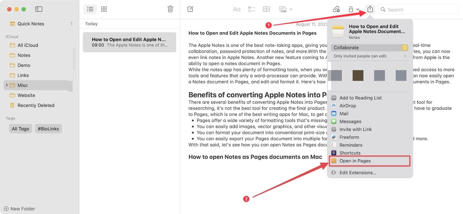 Opening notes in Pages on Mac