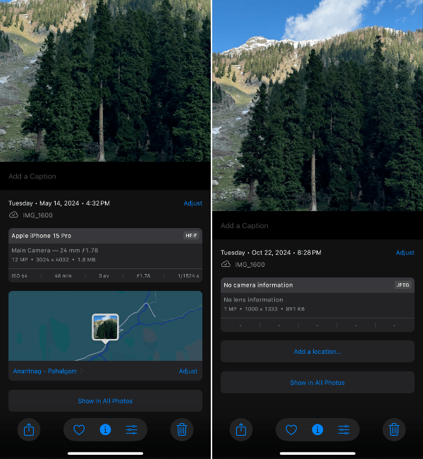 comparing original and resized image