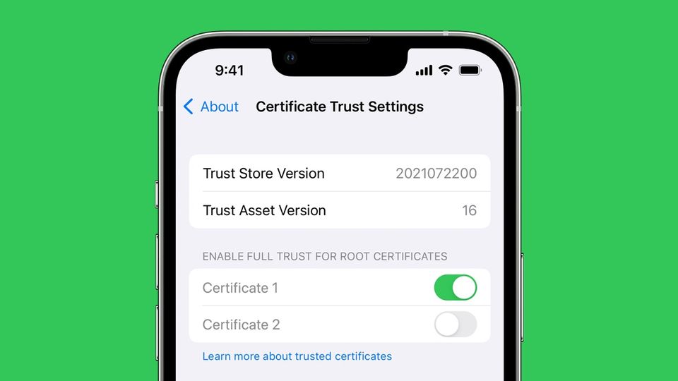 Certificate Trust Settings page screenshot